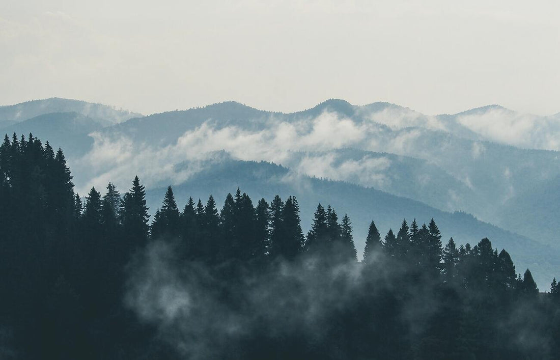 Simple Steps to Achieve a Growth Mindset