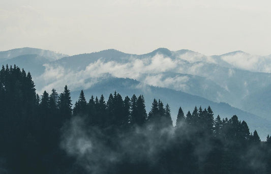 Simple Steps to Achieve a Growth Mindset